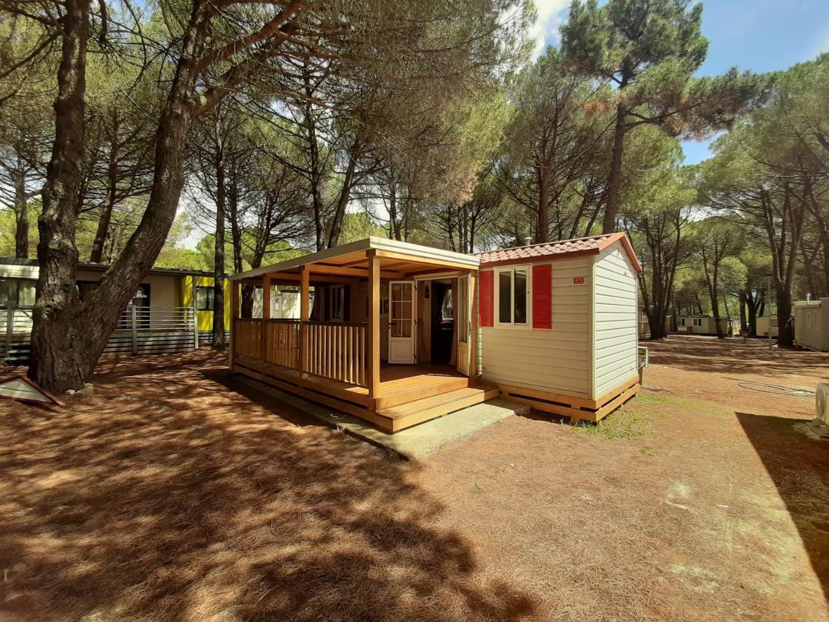 Campsite Lux Camp - Mobile Homes In Bi Village *